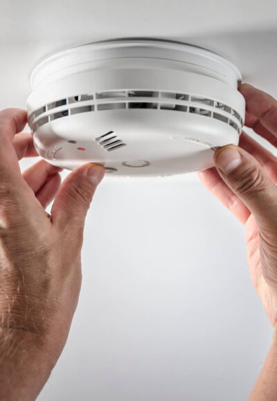 Proin molestie auctor turpis ullamcorper image